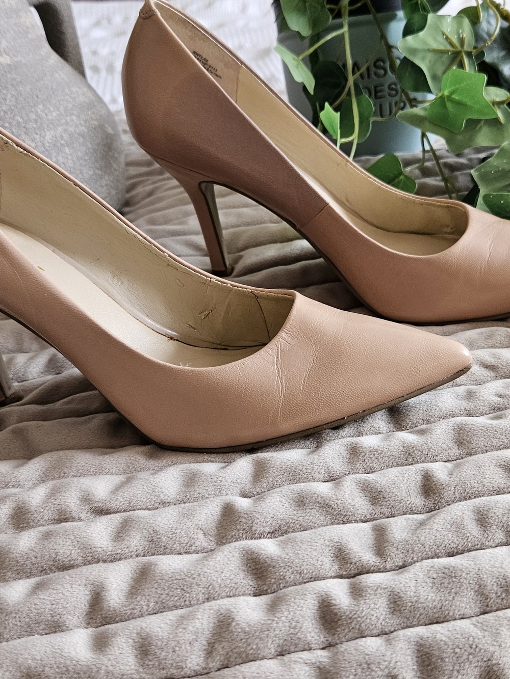 Classic Pointed-Toe Women's Pumps in Blush